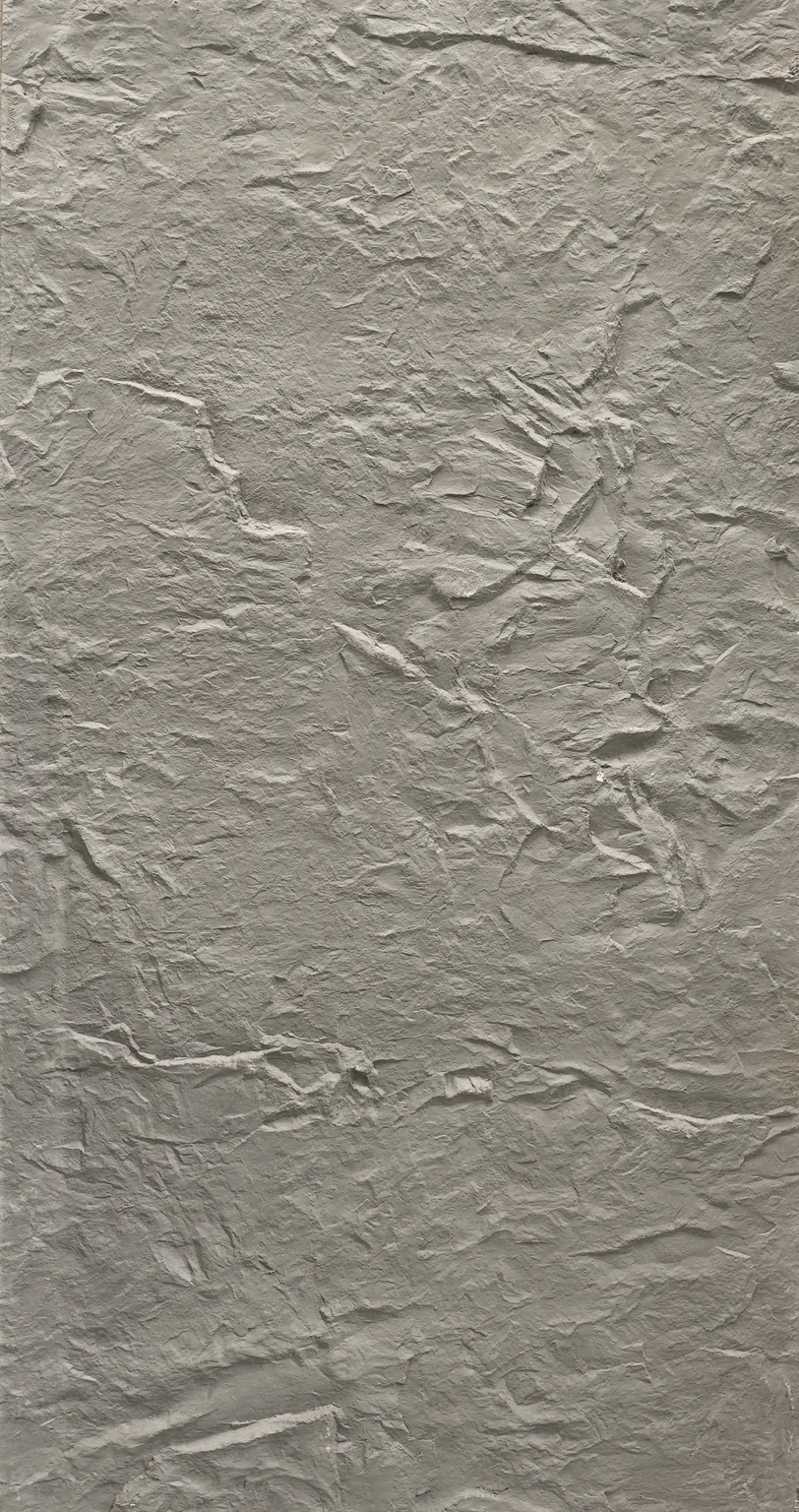 Balanced Neutral Tone